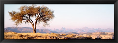 Framed Tree in a field with a mountain range in the background, Debre Damo, Tigray, Ethiopia Print