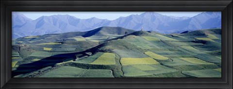 Framed Fields, Farm, Qinghai Province, China Print