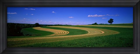 Framed Farmland IL USA Print