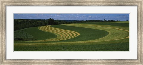 Framed Curving crops in a field, Illinois, USA Print