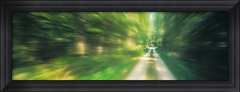 Framed Road, Greenery, Trees, Germany Print