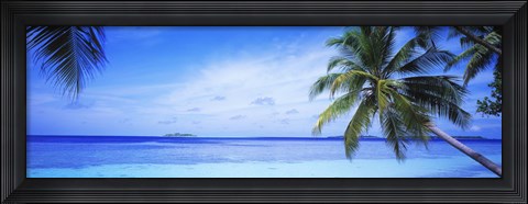 Framed Ocean, Island, Water, Palm Trees, Maldives Print