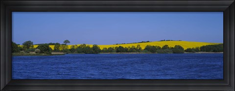 Framed Lake in front of a rape field, Holstein, Schleswig-Holstein, Germany Print