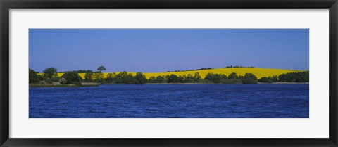 Framed Lake in front of a rape field, Holstein, Schleswig-Holstein, Germany Print