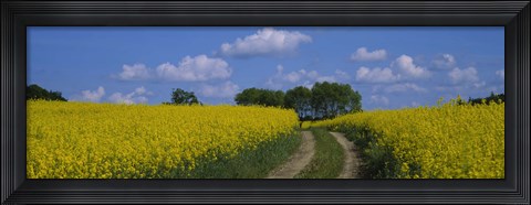 Framed Path in a field, Germany Print