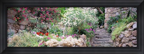 Framed Flowers in a garden, Tossa De Mar, Old town, Costa Brava, Catalonia, Spain Print