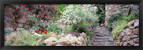 Framed Flowers in a garden, Tossa De Mar, Old town, Costa Brava, Catalonia, Spain Print