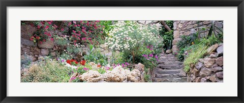 Framed Flowers in a garden, Tossa De Mar, Old town, Costa Brava, Catalonia, Spain Print