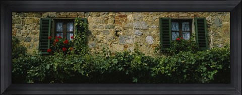 Framed Flowers on a window, Monteriggioni, Tuscany, Italy Print