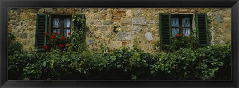 Framed Flowers on a window, Monteriggioni, Tuscany, Italy Print