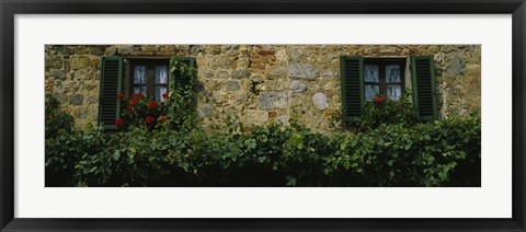 Framed Flowers on a window, Monteriggioni, Tuscany, Italy Print