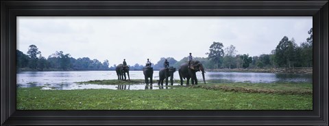 Framed Siem Reap River &amp; Elephants Angkor Vat Cambodia Print