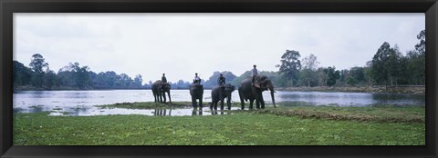 Framed Siem Reap River &amp; Elephants Angkor Vat Cambodia Print