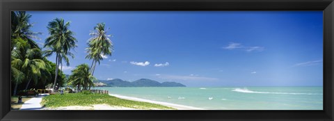 Framed Palm trees on the beach, Penang State, Malaysia Print