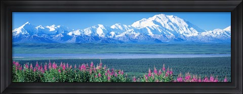 Framed Mountains &amp; Lake Denali National Park AK USA Print