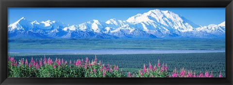 Framed Mountains &amp; Lake Denali National Park AK USA Print