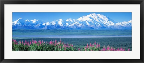 Framed Mountains &amp; Lake Denali National Park AK USA Print