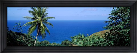 Framed Palm trees on the coast, Tobago, Trinidad And Tobago Print