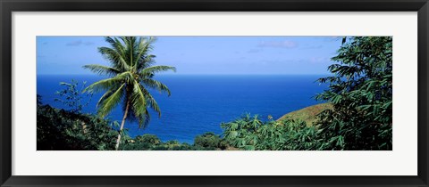 Framed Palm trees on the coast, Tobago, Trinidad And Tobago Print