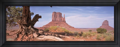 Framed Close-Up Of A Gnarled Tree With West And East Mitten, Monument Valley, Arizona, USA, Print