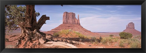 Framed Close-Up Of A Gnarled Tree With West And East Mitten, Monument Valley, Arizona, USA, Print