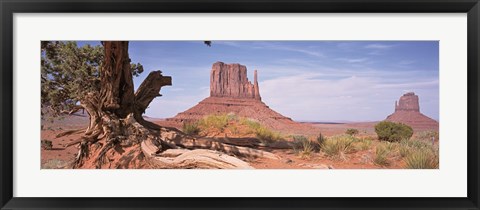 Framed Close-Up Of A Gnarled Tree With West And East Mitten, Monument Valley, Arizona, USA, Print