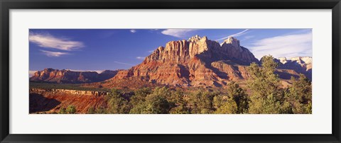 Framed Canyon surrounded with forest, Escalante Canyon, Zion National Park, Washington County, Utah, USA Print