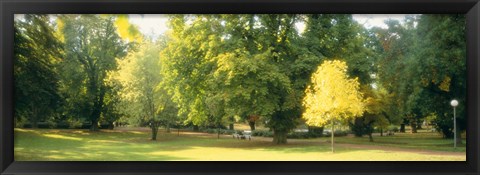 Framed Trees in a park, Wiesbaden, Rhine River, Germany Print