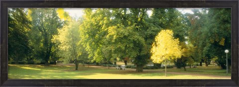 Framed Trees in a park, Wiesbaden, Rhine River, Germany Print