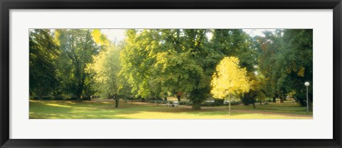 Framed Trees in a park, Wiesbaden, Rhine River, Germany Print