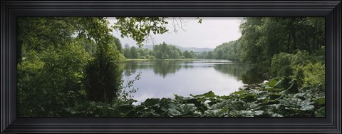 Framed Forest and River, Sjolangs, Sweden Print