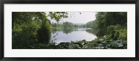 Framed Forest and River, Sjolangs, Sweden Print