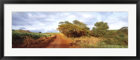 Framed Dirt road passing through a agricultural field, Kauai, Hawaii, USA Print