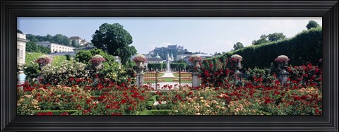 Framed Flowers in a formal garden, Mirabell Gardens, Salzburg, Salzkammergut, Austria Print