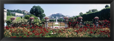 Framed Flowers in a formal garden, Mirabell Gardens, Salzburg, Salzkammergut, Austria Print