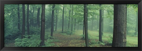 Framed Chestnut Ridge Park, Orchard Park, New York State Print