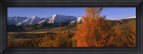Framed Castle Hill Basin Torlesse Mountains New Zealand Print
