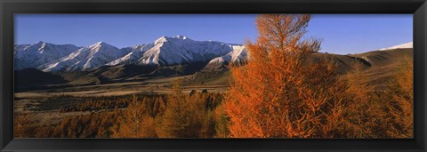 Framed Castle Hill Basin Torlesse Mountains New Zealand Print