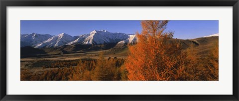 Framed Castle Hill Basin Torlesse Mountains New Zealand Print