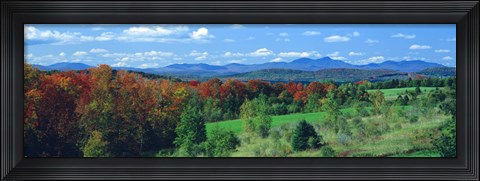 Framed Autumn Trees VT Print