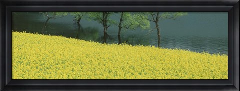 Framed Hakuryu-Ko Nagano Japan Print