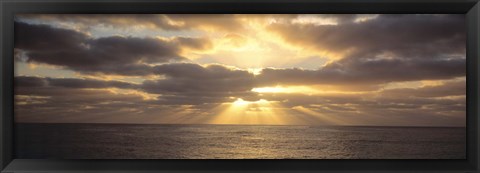 Framed Sunset Sub Antarctic Australia Print