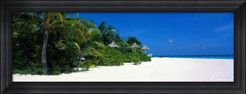Framed Beach in The Maldives Print