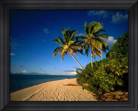 Framed Palm trees and beach, Tahiti French Polynesia Print