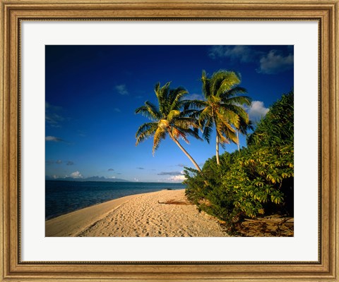 Framed Palm trees and beach, Tahiti French Polynesia Print