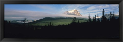 Framed Silhouette of trees with a mountain in the background, Canadian Rockies, Alberta, Canada Print