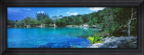 Framed Cozumel, Mexico Print
