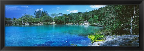 Framed Cozumel, Mexico Print