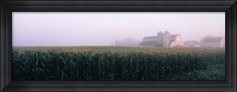 Framed Barn in a field, Illinois, USA Print