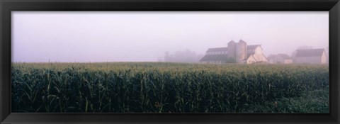 Framed Barn in a field, Illinois, USA Print
